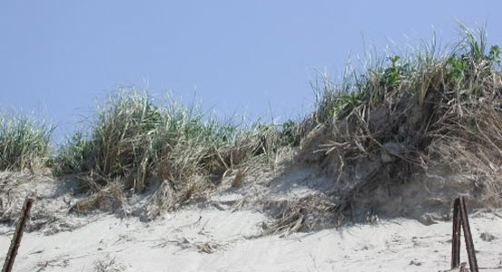 Sand dune